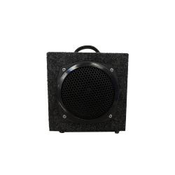 GSS Krazy Cat Mini Ampli Guitare